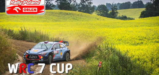 WRC 7 Cup #8 Poland